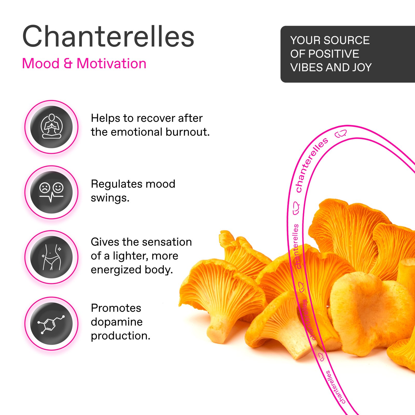 Chanterelle THE JOY COFFEE PODS