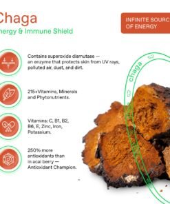 Chaga