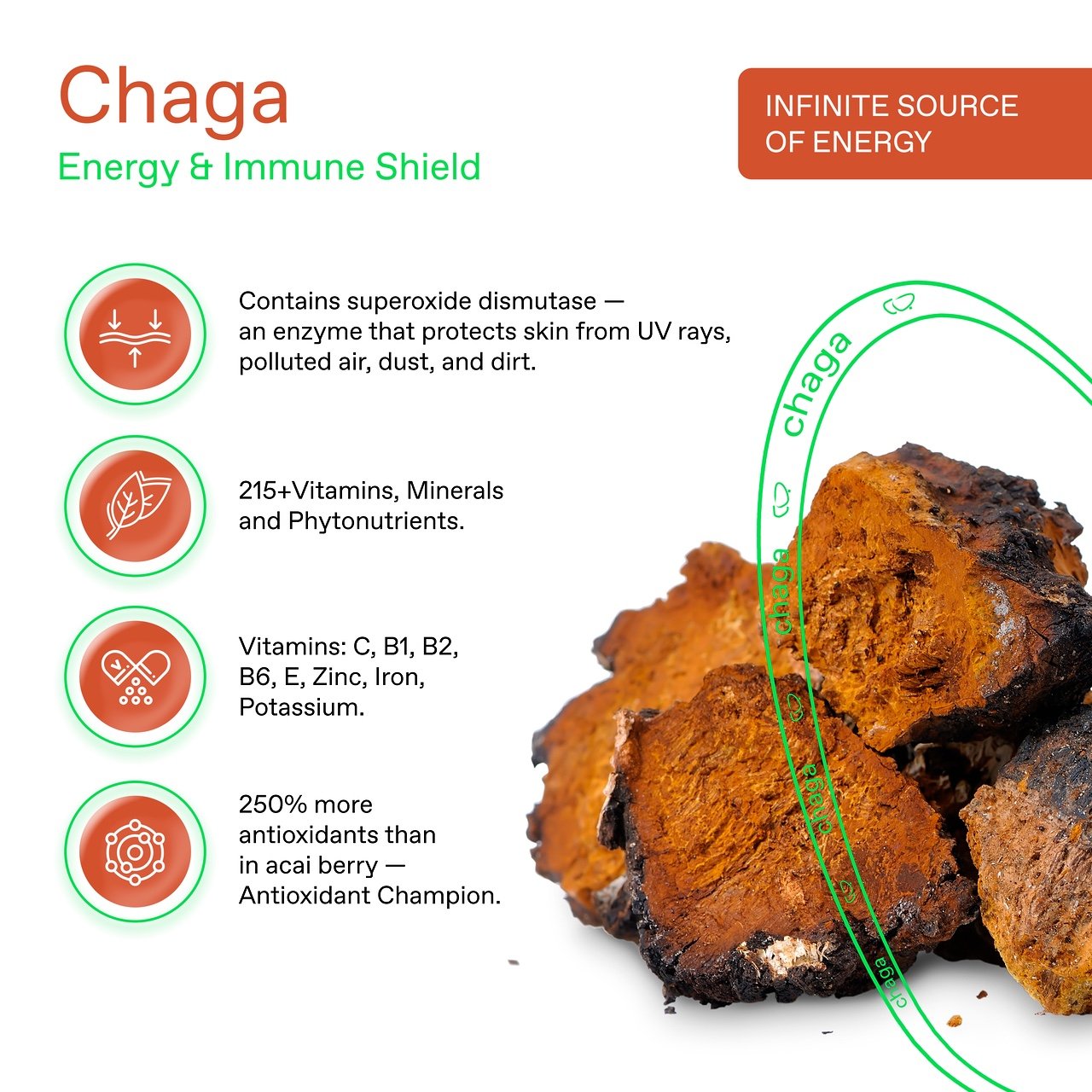 Chaga