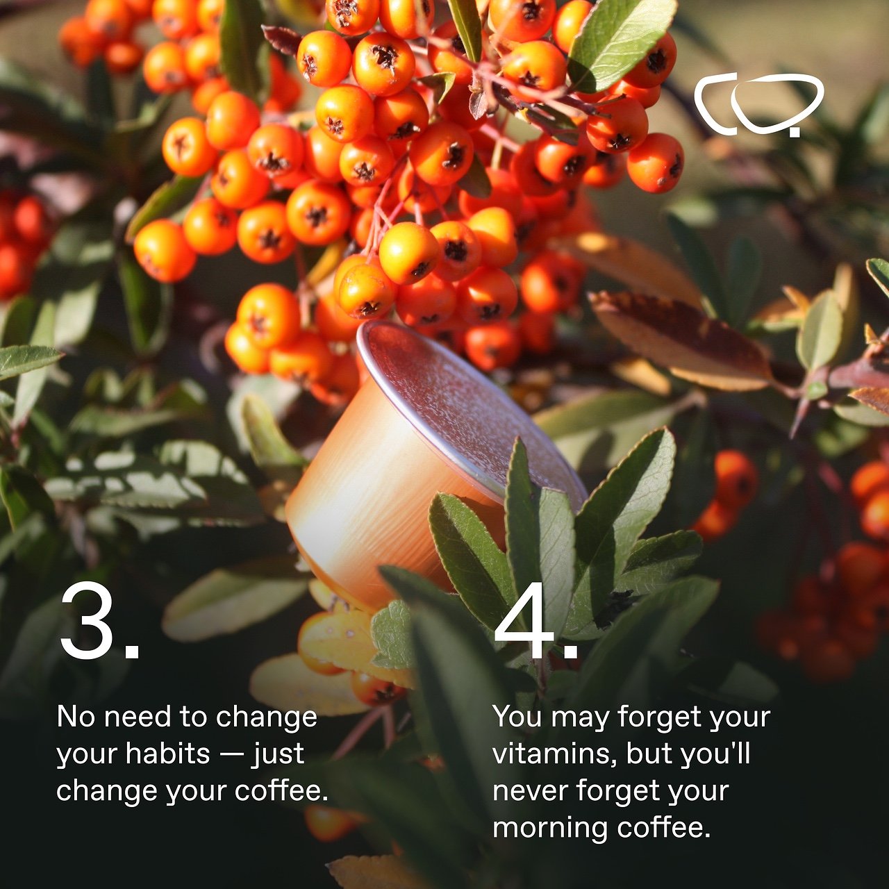 Chaga THE RISE COFFEE PODS